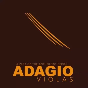 8Dio Adagio Violas 2.0 KONTAKT